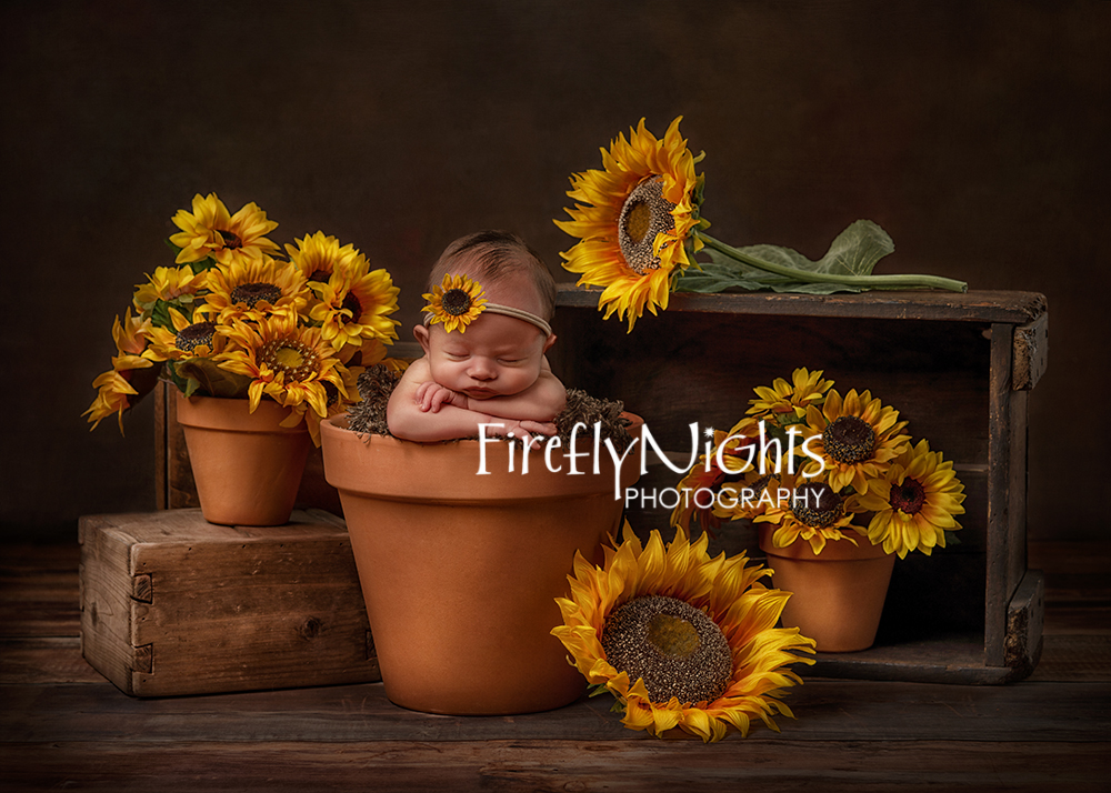 Naperville newborn photographer