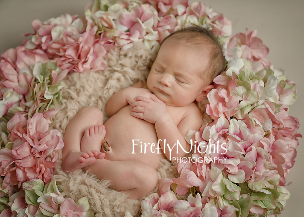 Plainfield newborn photographer
