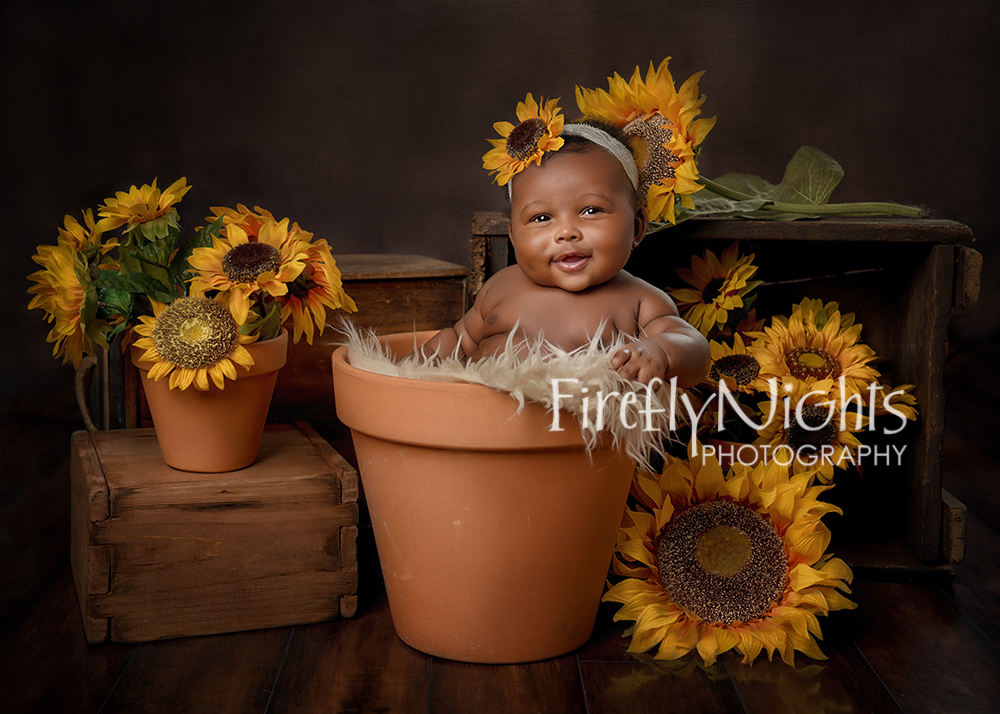 Wheaton baby photographer