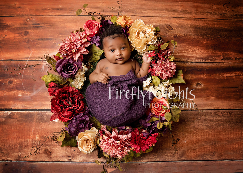 Burr ridge baby photographer