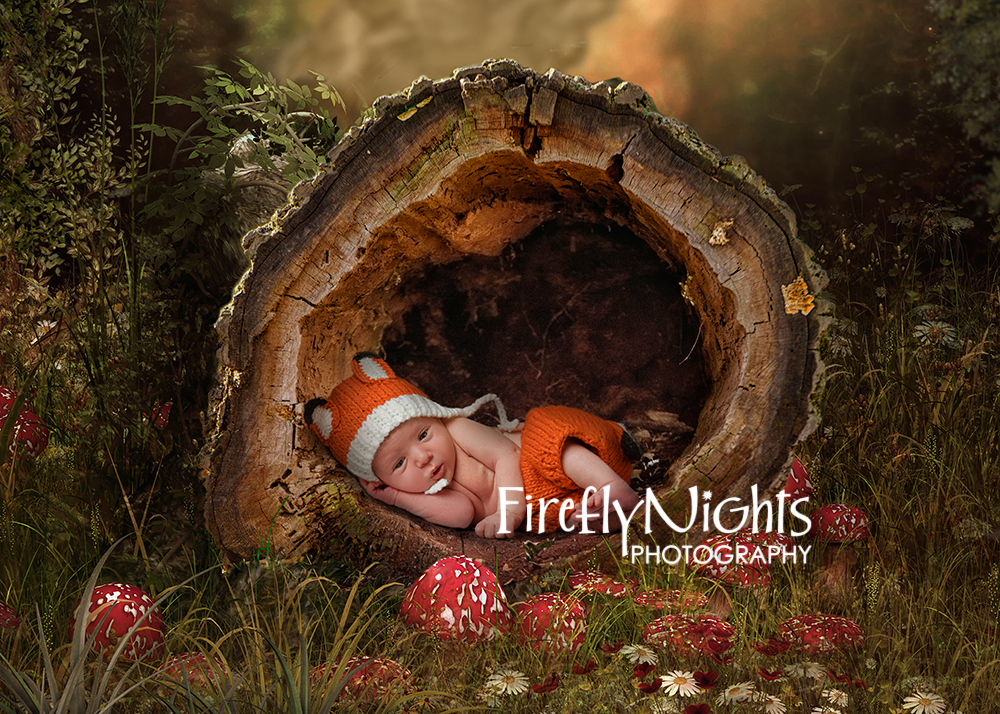 Oak Brook newborn photographer