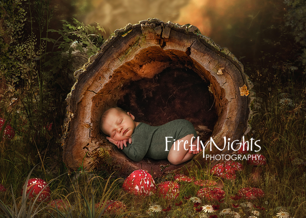 Wheaton newborn photographer