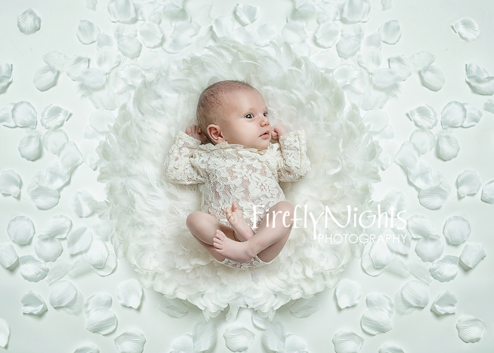 Downers Grove newborn photographer