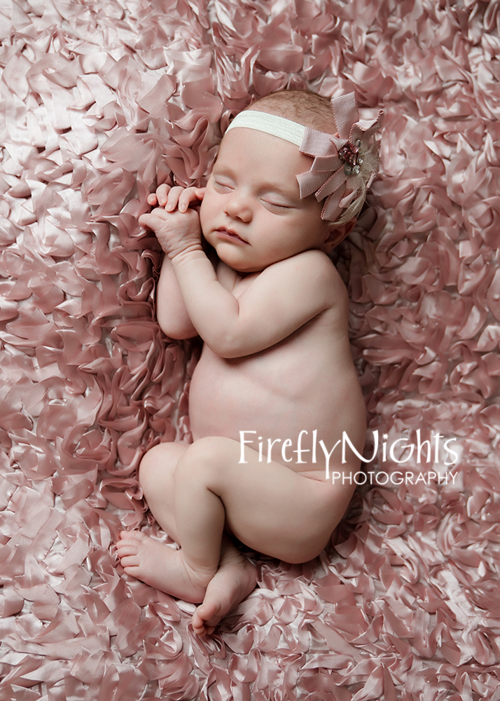 Wheaton newborn photographer