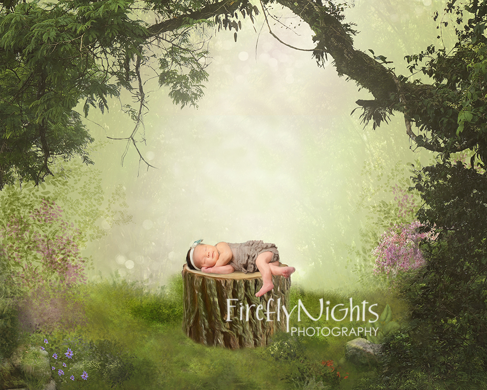 Aurora newborn photographer