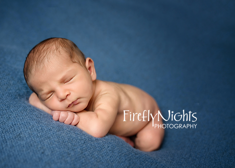 Elmhurst newborn photographer