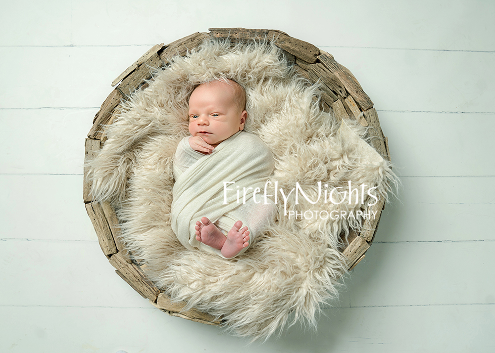 Wheaton newborn photographer