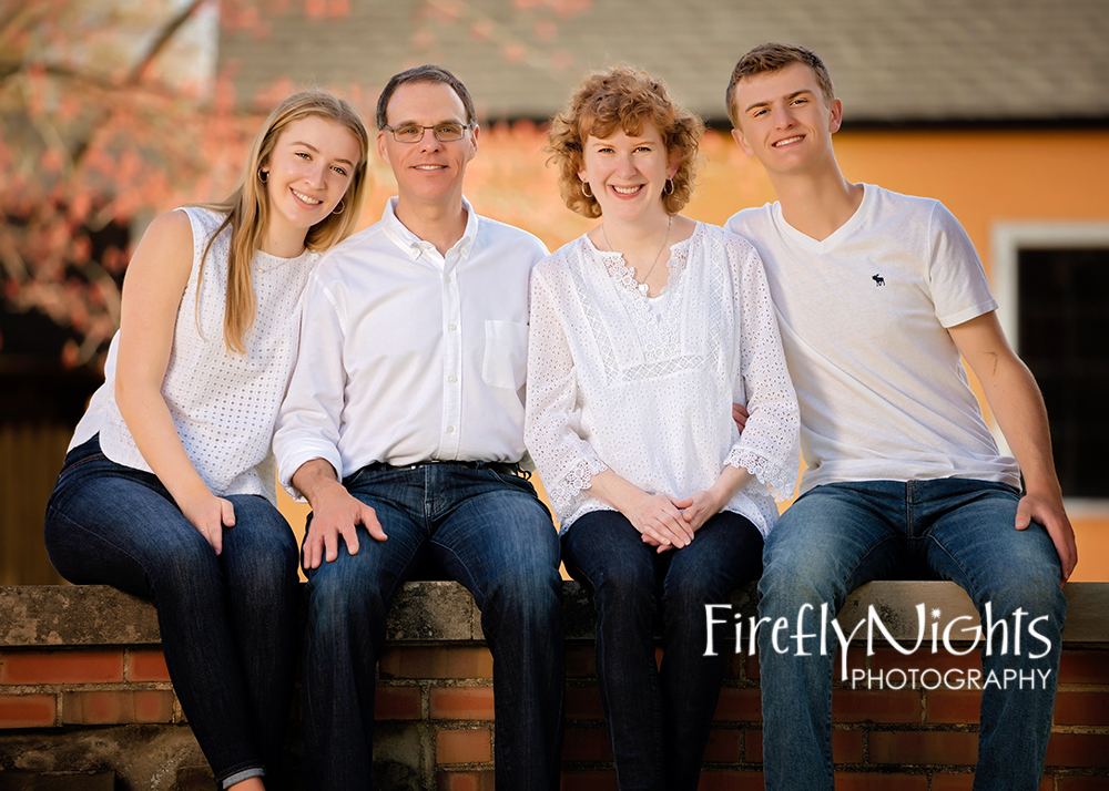 Naperville family photographer