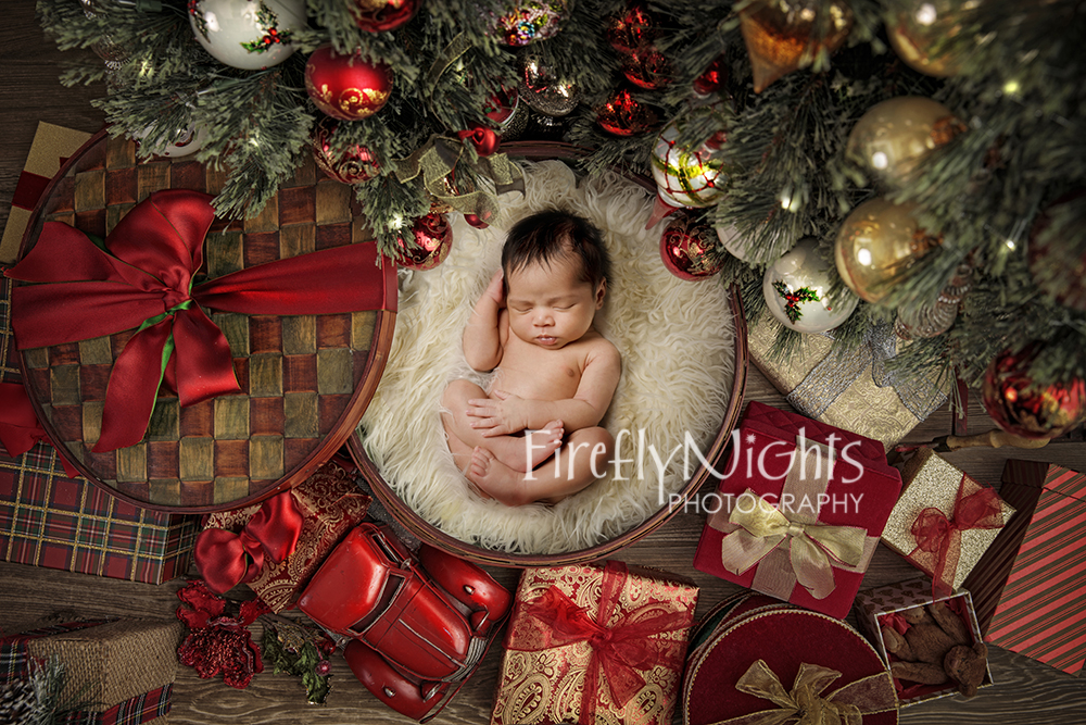 Chicago newborn photographer