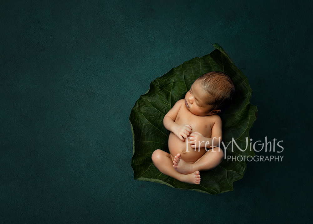 Oak brook newborn photographer