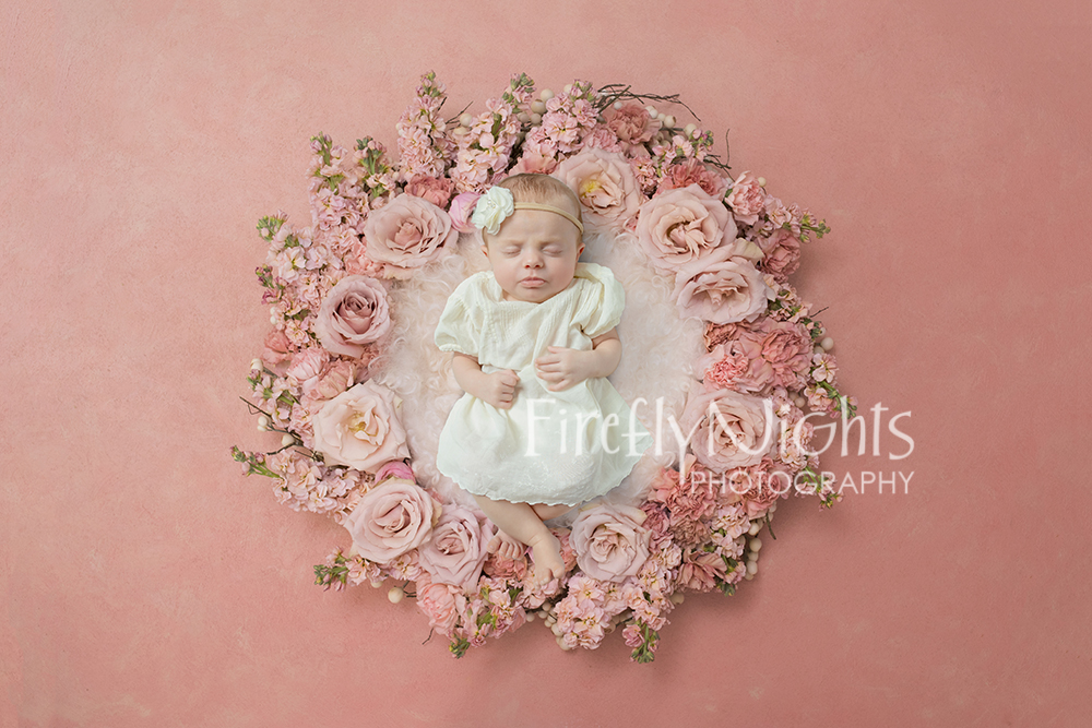 Wheaton newborn photographer