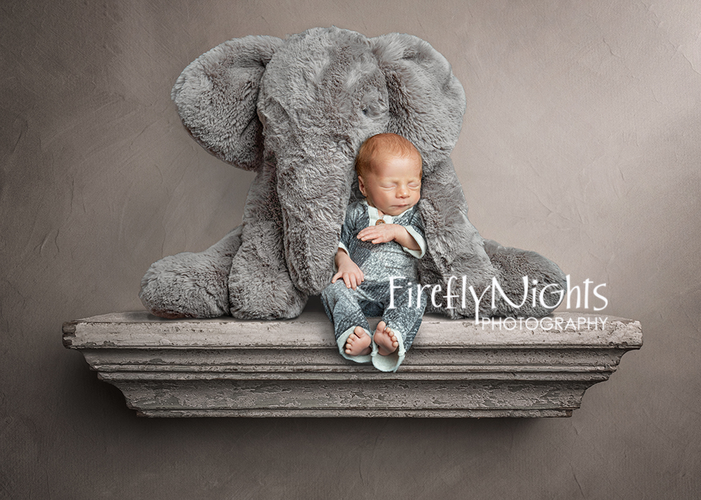 Burr Ridge newborn photographer