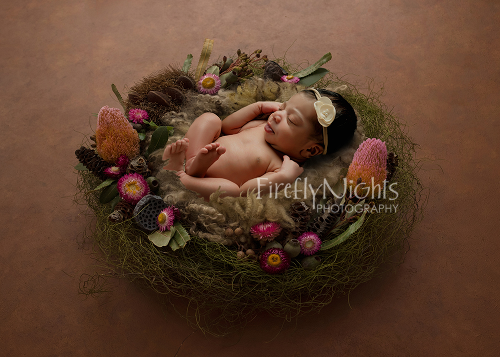 Naperville baby photographer