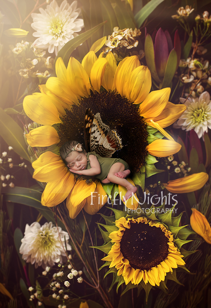 Plainfield newborn photographer