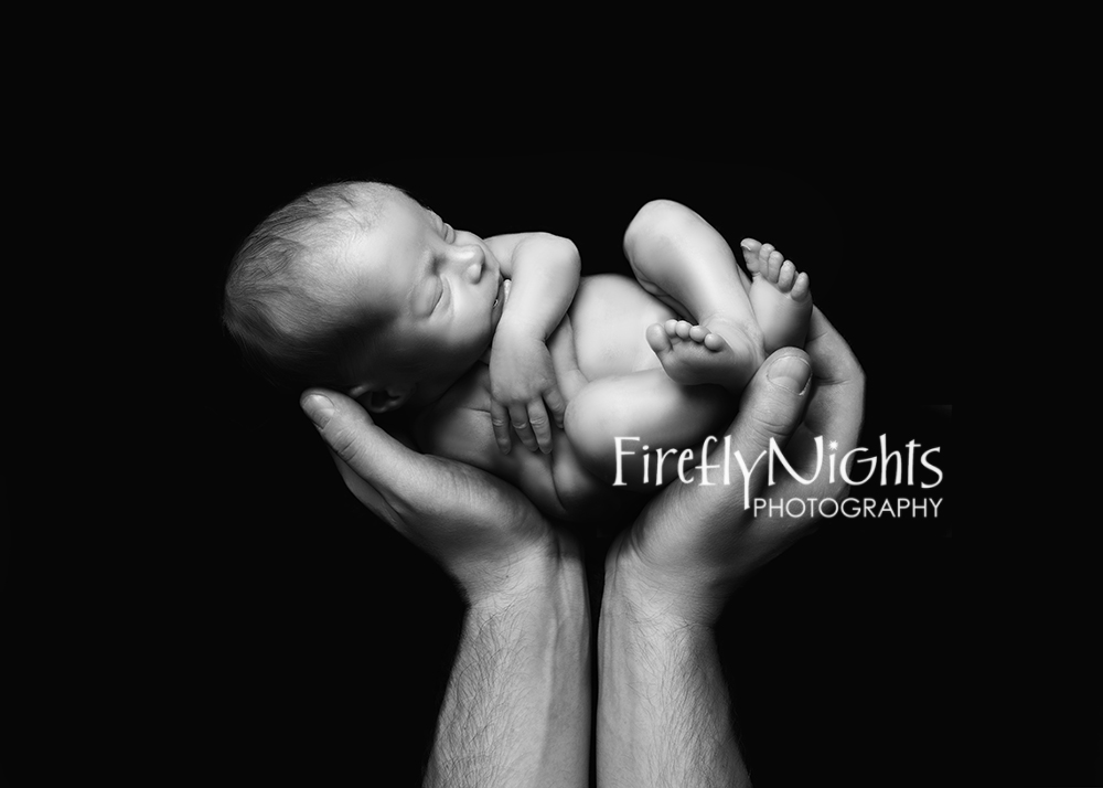 Chicago newborn photographer