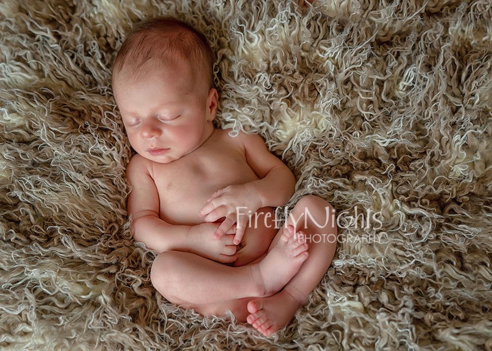 Aurora newborn photographer