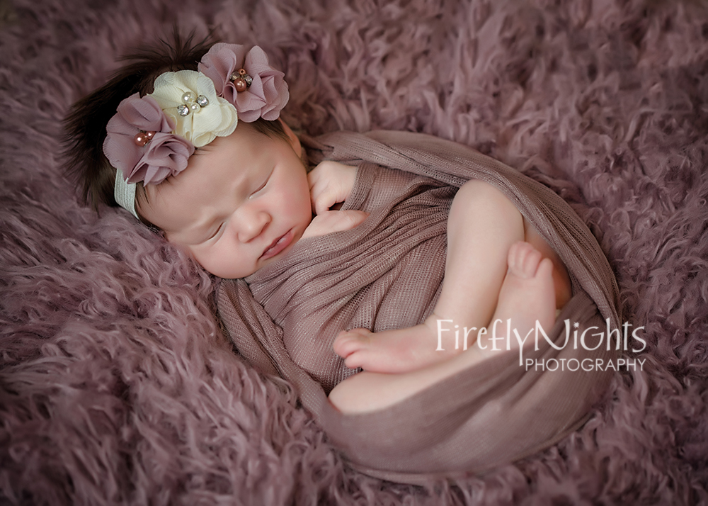 Chicago newborn photographer