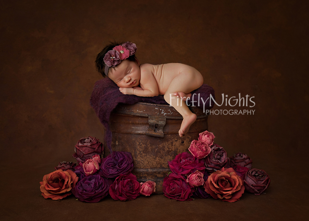 Downers Grove newborn photographer