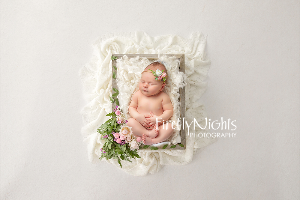 Chicago newborn photographer