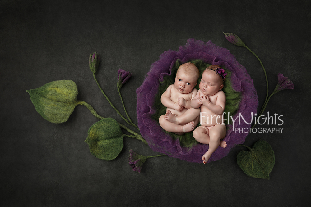 Plainfield newborn photographer