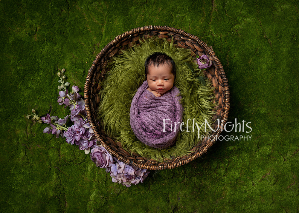 Hinsdale newborn photographer