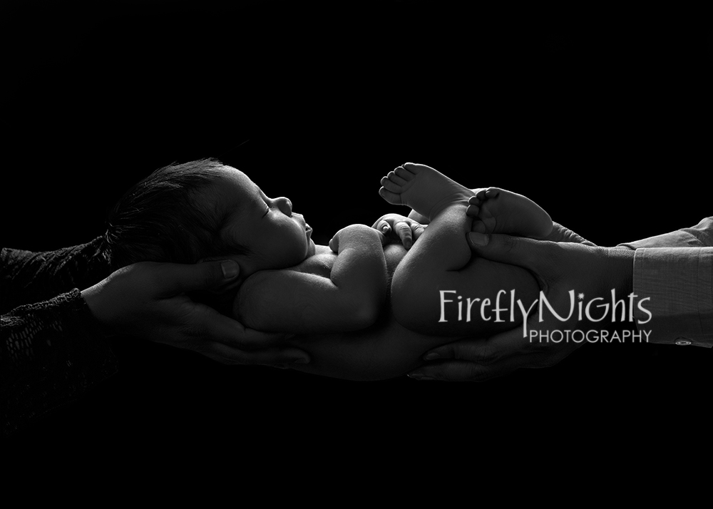 Chicago newborn photographer