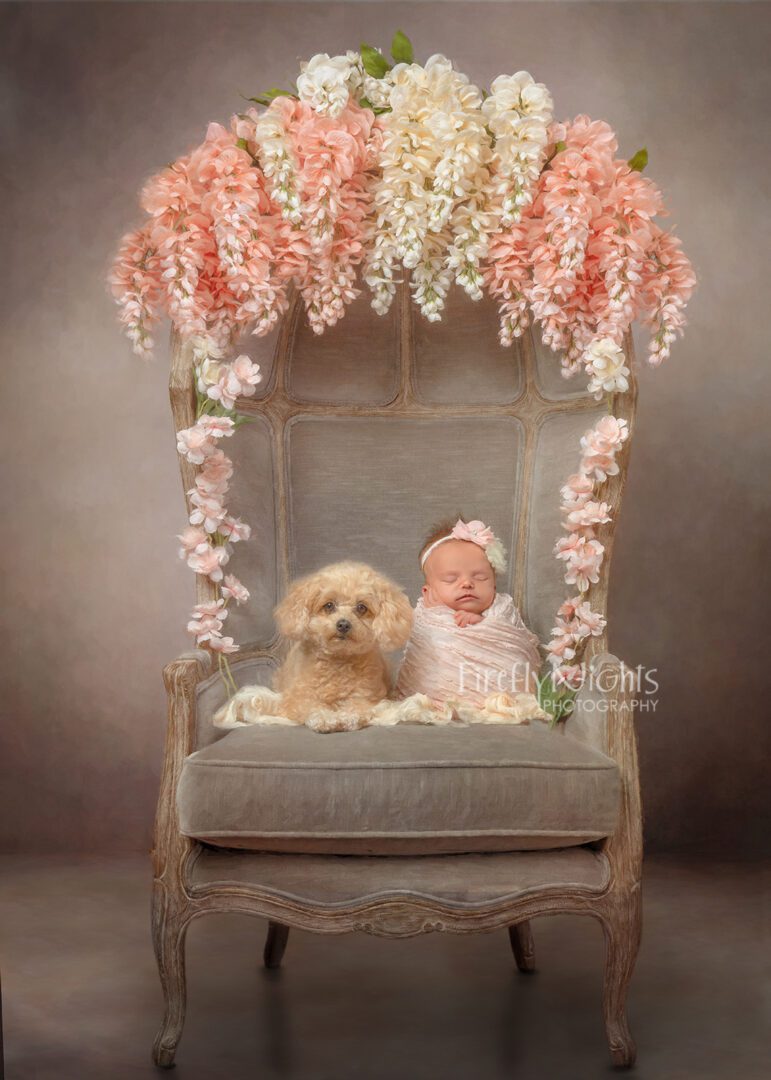 newborn with dog