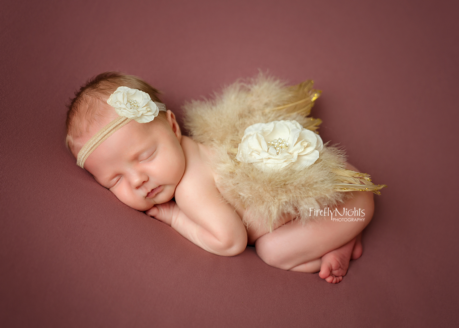 Hinsdale newborn photographer