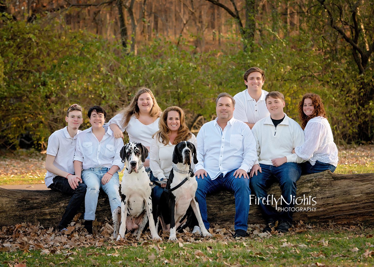 Naperville dog photographer