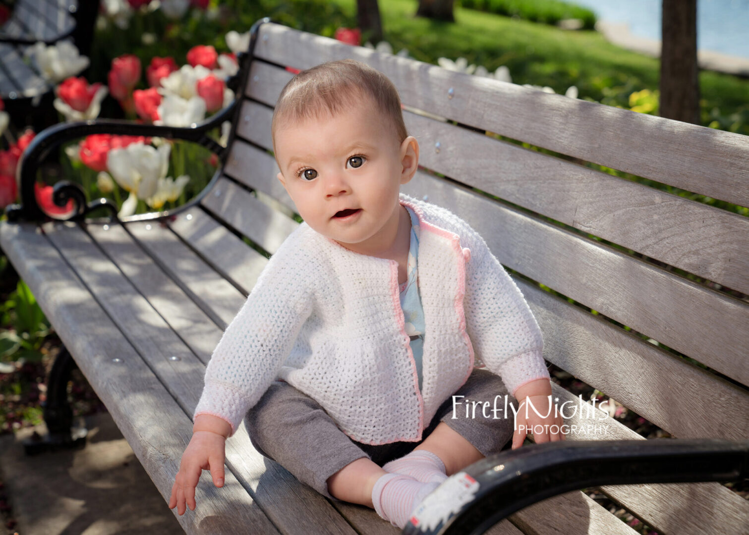 Plainfield photographer