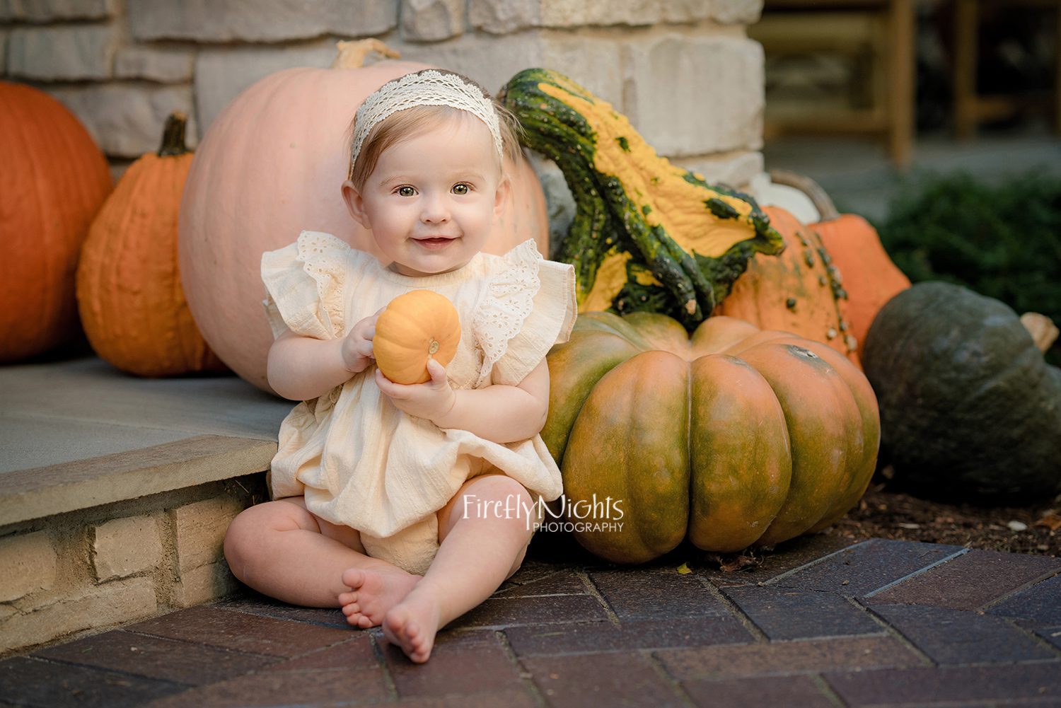 Elmhurst photographer