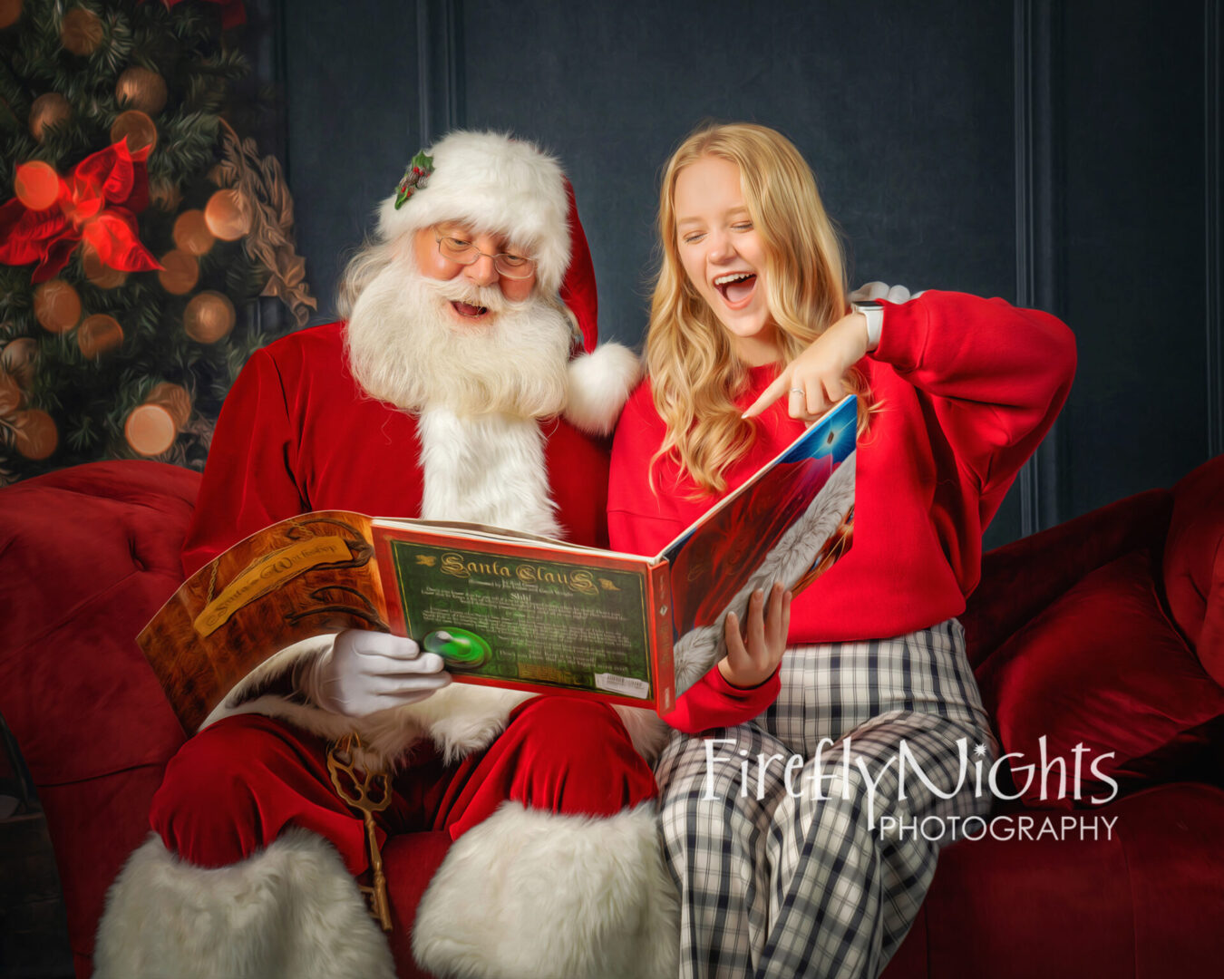 Burr Ridge santa photographer