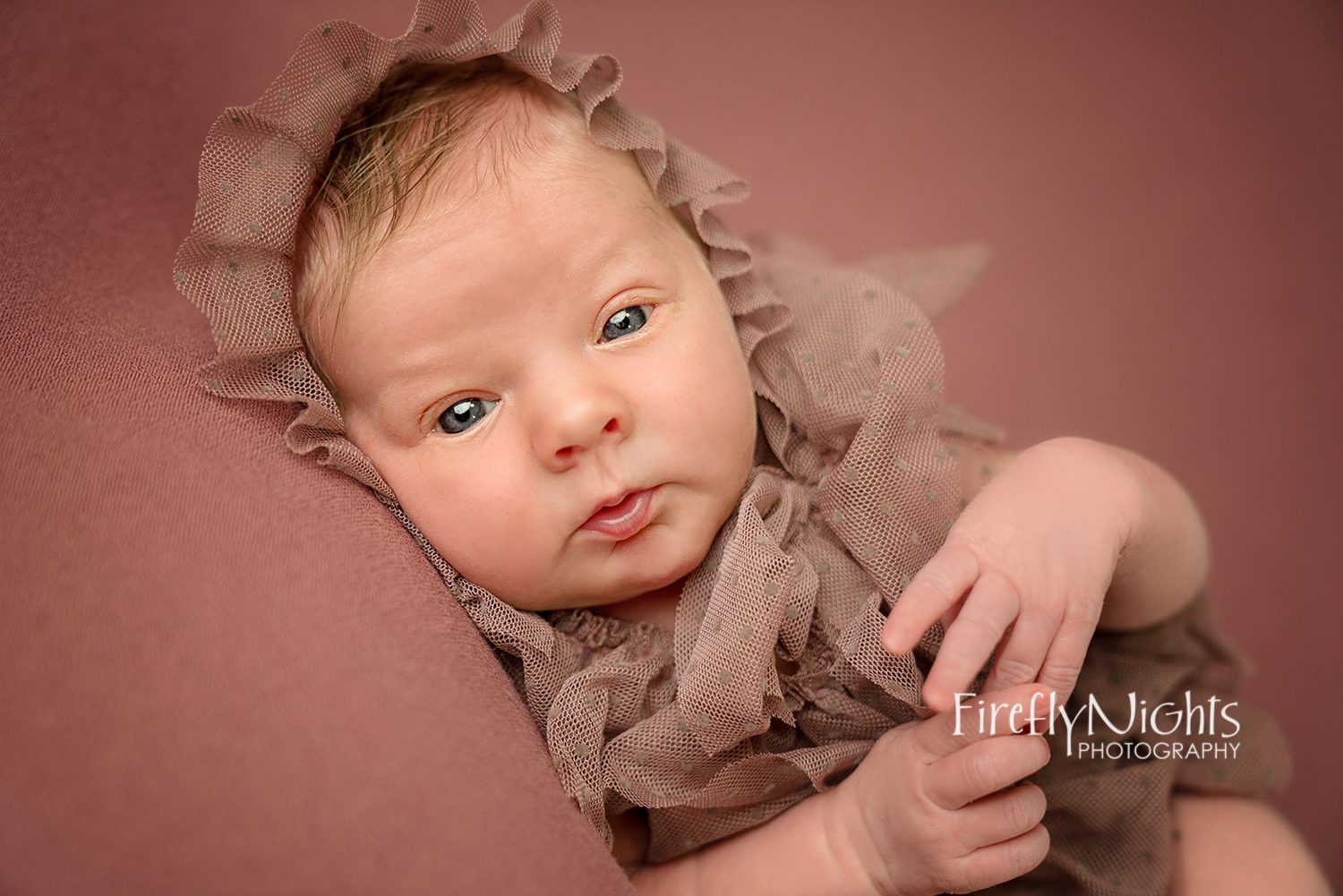 Geneva newborn photographer